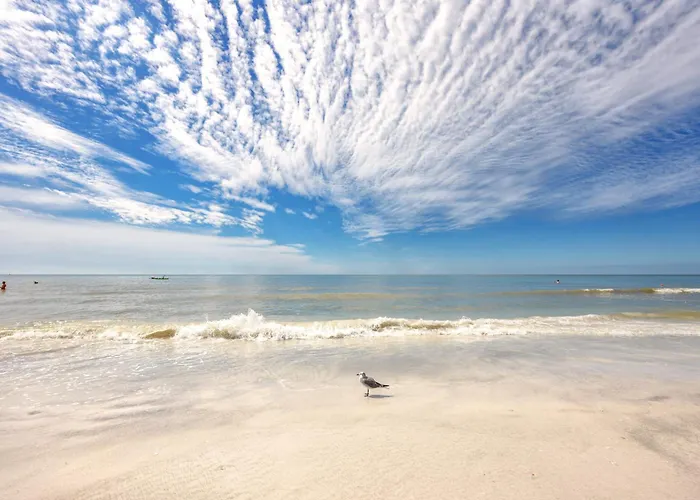 Redington Retreat - Immaculate With Water Views, Pool, Hot Tub Apartment Clearwater Beach